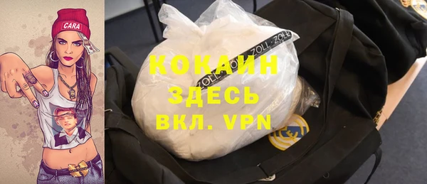 дживик Мегион
