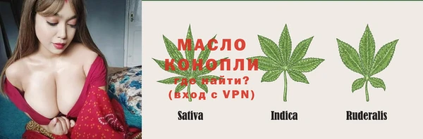 дживик Мегион