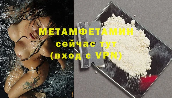 дживик Мегион