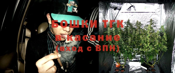 дживик Мегион