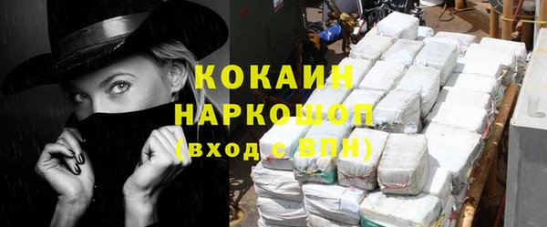дживик Мегион